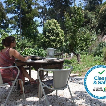 신트라 Ribeira Dos Marinheiros Azul 아파트 외부 사진