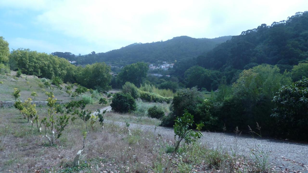 신트라 Ribeira Dos Marinheiros Azul 아파트 외부 사진