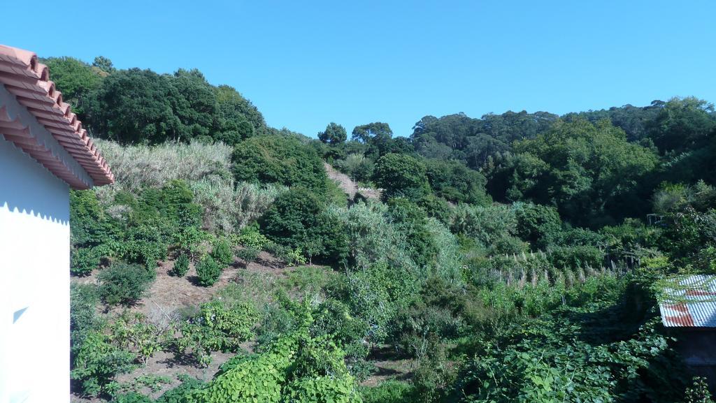 신트라 Ribeira Dos Marinheiros Azul 아파트 외부 사진